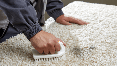 Professional Rug Cleaning Kangaroo Ground