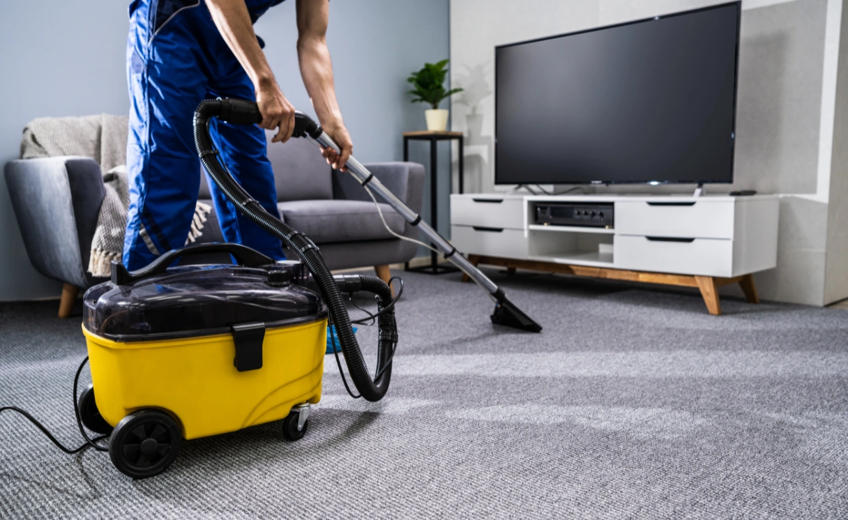 Extract Rug Cleaning Kangaroo Ground Contact Office